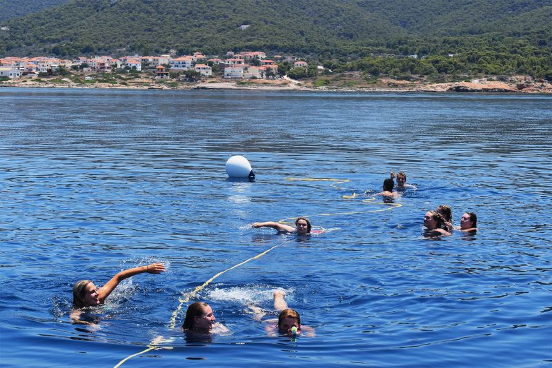 swimmers off the boat